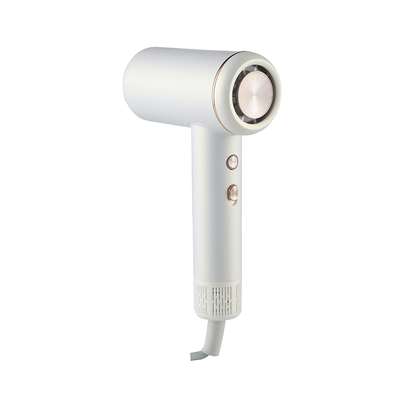 High Speed Hair Dryer AU707